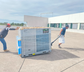 Captura de pantalla 2025-12-14 203059