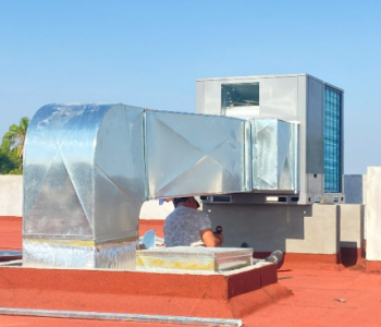 Captura de pantalla 2025-12-14 203117